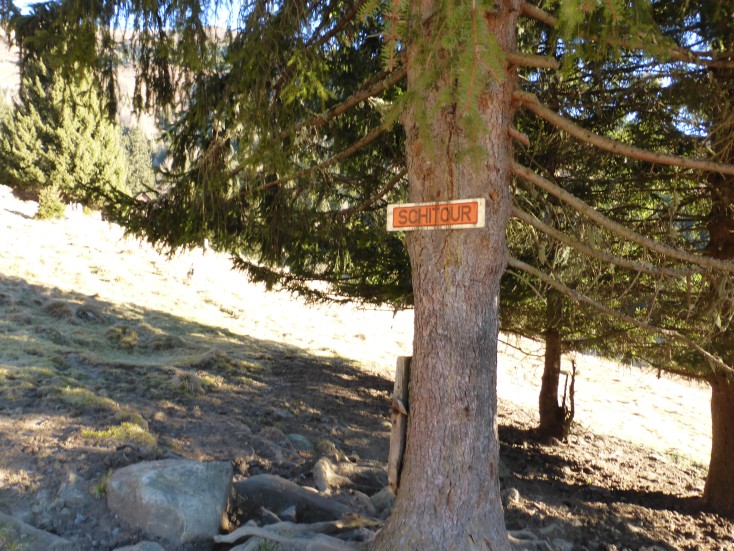 Foto: Manfred Karl / Wandertour / Gmeineck – abseits der üblichen Anstiege / Skitour??? / 06.01.2017 20:17:29