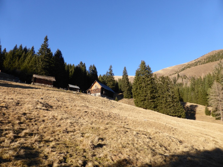 Foto: Manfred Karl / Wandertour / Gmeineck – abseits der üblichen Anstiege / Steinbruggeralm / 06.01.2017 20:11:33