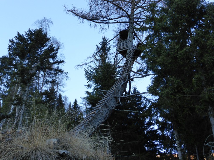 Foto: Manfred Karl / Wandertour / Gmeineck – abseits der üblichen Anstiege / Origineller Zustieg zu einem Hochstand / 06.01.2017 20:10:09