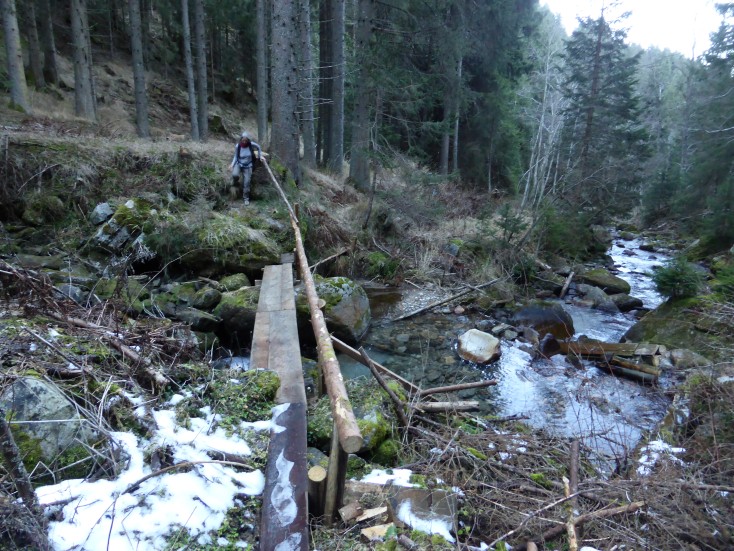 Foto: Manfred Karl / Wandertour / Gmeineck – abseits der üblichen Anstiege / Ein guter Steg erleichtert den Bachübergang / 06.01.2017 20:09:29
