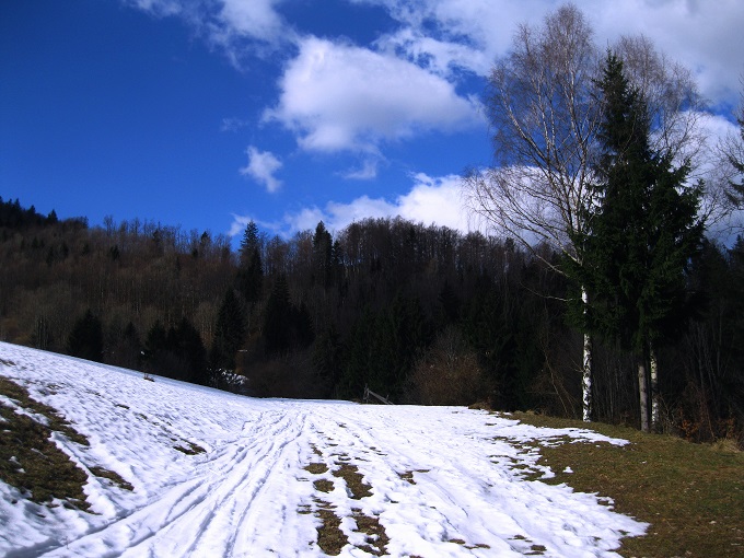 Foto: Andreas Koller / Skitour / Auf skihistorischen Spuren über den Muckenkogel (1313m) / 24.03.2017 02:52:52