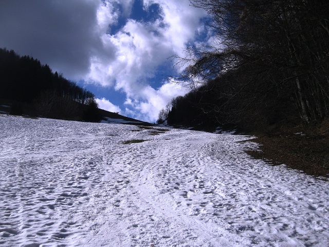 Foto: Andreas Koller / Skitour / Auf skihistorischen Spuren über den Muckenkogel (1313m) / 24.03.2017 02:51:50