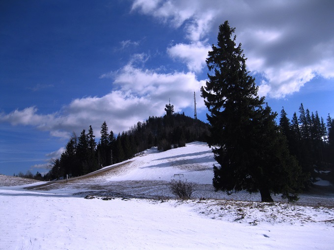 Foto: Andreas Koller / Skitour / Auf skihistorischen Spuren über den Muckenkogel (1313m) / 24.03.2017 02:49:34