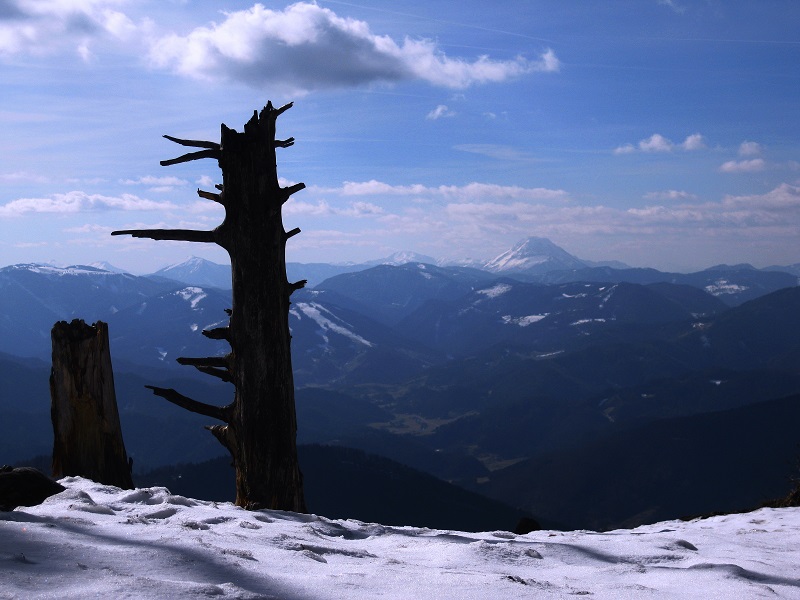 Foto: Andreas Koller / Skitour / Auf skihistorischen Spuren über den Muckenkogel (1313m) / 24.03.2017 02:45:41