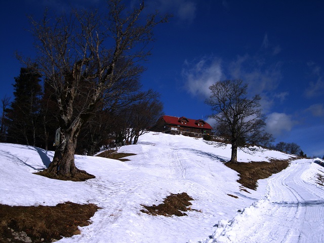 Foto: Andreas Koller / Skitour / Auf skihistorischen Spuren über den Muckenkogel (1313m) / Traisner Hütte auf der Hinteralm in Sicht / 24.03.2017 02:45:19