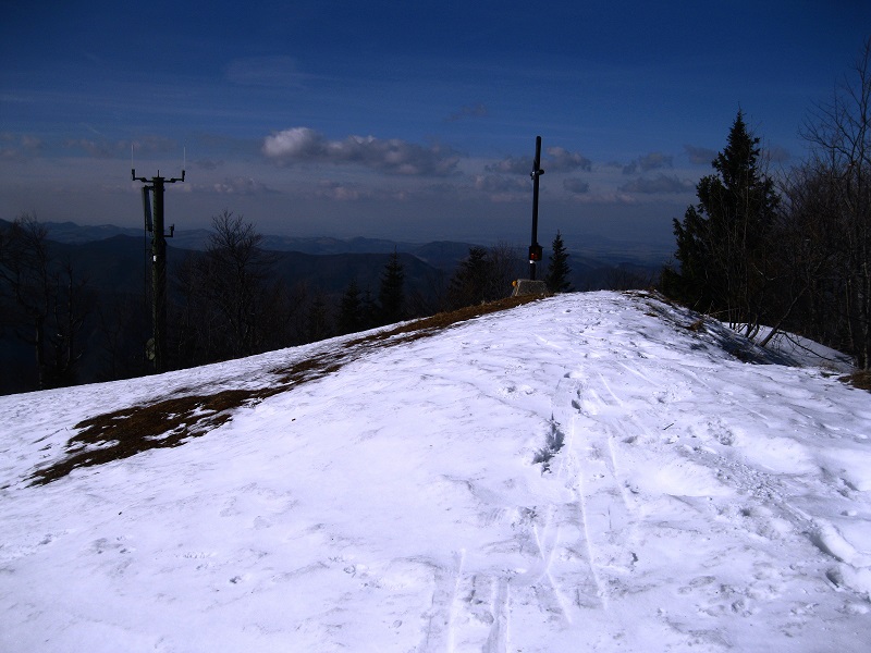 Foto: Andreas Koller / Skitour / Auf skihistorischen Spuren über den Muckenkogel (1313m) / 24.03.2017 02:44:06