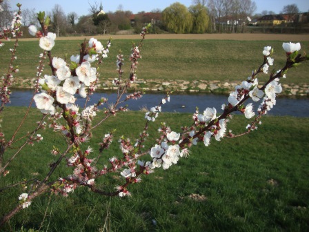 Foto: Wolfgang Dröthandl / Wandertour / Erlebnisweg zum Mittelpunkt Niederösterreichs (Kapelln) / 03.04.2017 09:50:46