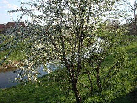 Foto: Wolfgang Dröthandl / Wandertour / Erlebnisweg zum Mittelpunkt Niederösterreichs (Kapelln) / An der Perschling / 03.04.2017 09:51:06