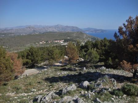 Foto: Wolfgang Dröthandl / Wandertour / Srd - Hausberg von Dubrovnik / Blick Richtung Südosten (Cavtat, Richtung Montenegro) / 14.04.2017 22:20:24