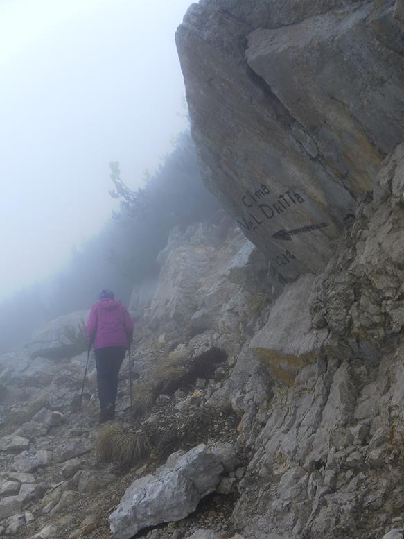 Foto: Wolfgang Lauschensky / Wandertour / Cima Valdritta Südostanstieg / Abzweig zur Cima Valdritta / 27.04.2017 18:16:32