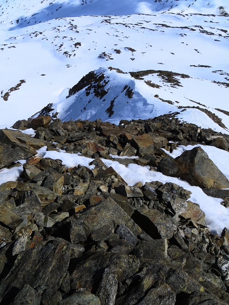 Foto: Andreas Koller / Skitour / Unbekannter SO-Grat auf den Hintereiskopf (3289m) / 17.05.2017 22:38:53