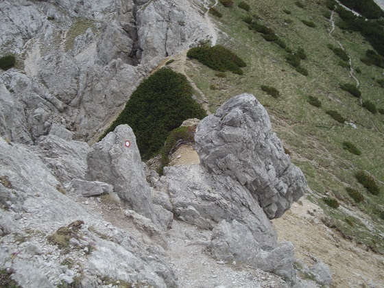 Foto: Wolfgang Dröthandl / Wandertour / Visevnik - Runde von Pokljuka / Diese Stelle kann rechts umgangen werden / 07.06.2017 14:21:38