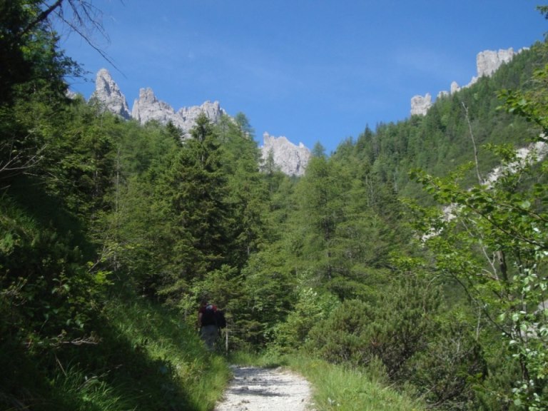 Foto: Wolfgang Dröthandl / Wandertour / Rifugio Giaf und Anello di Bianchi / Aufstieg zum Rifugio Giaf auf dem Fußweg / 23.06.2017 16:14:31
