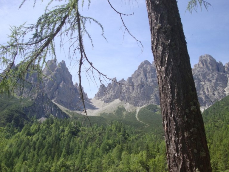 Foto: Wolfgang Dröthandl / Wandertour / Rifugio Giaf und Anello di Bianchi / Bald wird der Blick frei auf die Monfalconigruppe / 23.06.2017 16:13:26