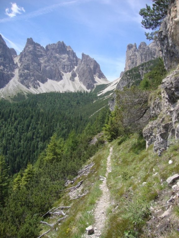 Foto: Wolfgang Dröthandl / Wandertour / Rifugio Giaf und Anello di Bianchi / Schmaler Pfad (Blick Richtung Südwest, Forcella Scodavacca) / 23.06.2017 16:07:25
