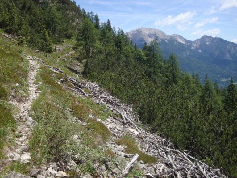 Foto: Wolfgang Dröthandl / Wandertour / Rifugio Giaf und Anello di Bianchi / Anello di Bianchi - Nordabschnitt / 23.06.2017 16:06:35