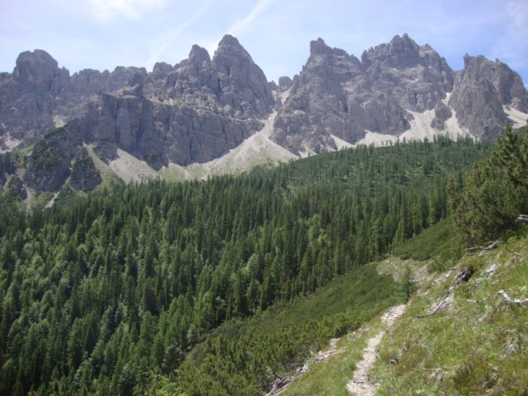 Foto: Wolfgang Dröthandl / Wandertour / Rifugio Giaf und Anello di Bianchi / Monfalconi - Kette / 23.06.2017 16:06:11