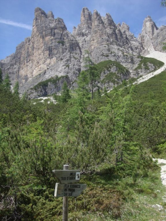 Foto: Wolfgang Dröthandl / Wandertour / Rifugio Giaf und Anello di Bianchi / Abzweigung zur Forcella Scodavacca mit Spinotti - Turm (Cridola) / 23.06.2017 16:04:36