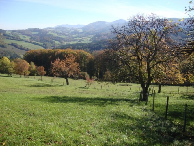 Foto: Wolfgang Dröthandl / Wandertour / Kukubauerwiese - Runde / Blick ins Gölsental / 29.10.2017 21:10:29