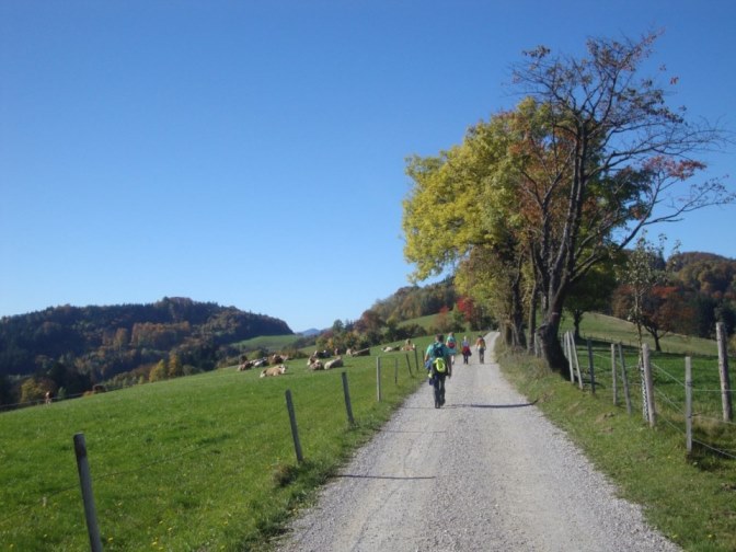 Foto: Wolfgang Dröthandl / Wandertour / Kukubauerwiese - Runde / Fahrweg zur Kukubauerhütte, Weg 404 / 29.10.2017 21:06:23