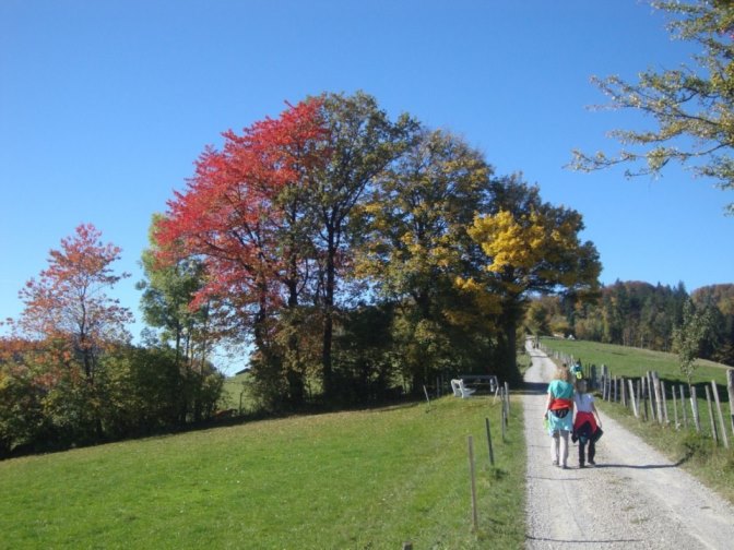 Foto: Wolfgang Dröthandl / Wandertour / Kukubauerwiese - Runde / Goldener Herbst! / 29.10.2017 21:05:46