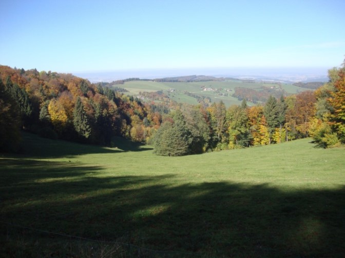 Foto: Wolfgang Dröthandl / Wandertour / Kukubauerwiese - Runde / Kukubauerwiese nach Norden / 29.10.2017 21:03:34
