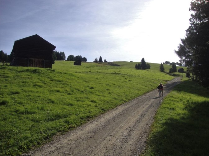 Foto: Wolfgang Dröthandl / Wandertour / Über die Lüsner Alm zum Glittner See / Bald sind die Almböden der südlichen Lüsner Alpe erreicht / 04.11.2017 23:12:57