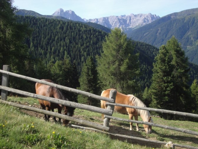 Foto: Wolfgang Dröthandl / Wandertour / Über die Lüsner Alm zum Glittner See / Im Hintergrund Peitlerkofel und Aferer Geisler (Tullen) / 04.11.2017 23:12:04