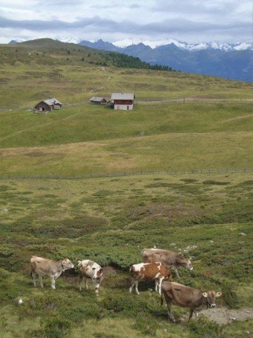 Foto: Wolfgang Dröthandl / Wandertour / Über die Lüsner Alm zum Glittner See / Wieseralm gegen Zillertaler Alpen im Norden / 04.11.2017 23:05:51