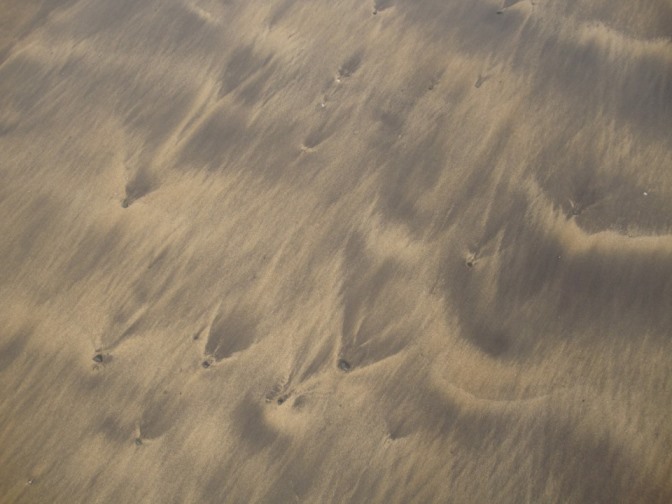 Foto: Wolfgang Dröthandl / Wandertour / Montana Roja von der Playa del Medano / An der Playa del Medano / 13.11.2017 17:01:19