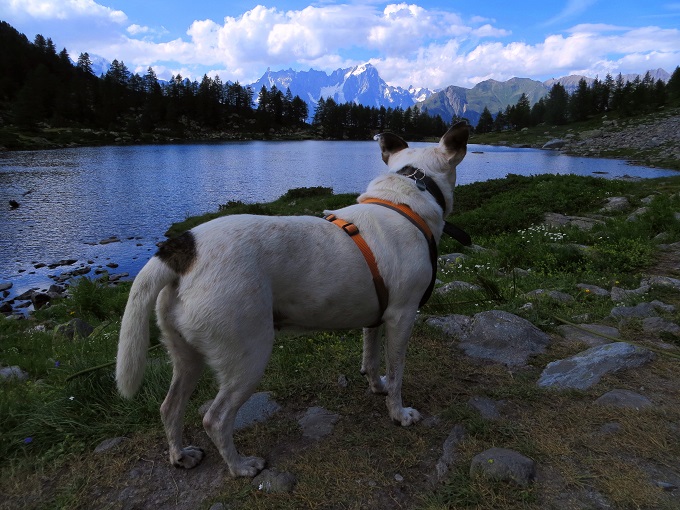 Foto: Andreas Koller / Wandertour / Romantische Wanderung zum Lac d Arpy (2068m) / So schön es hier auch ist, einmal geht's doch wieder zurück. / 16.11.2017 00:43:08