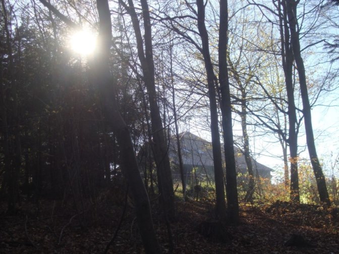 Foto: Wolfgang Dröthandl / Wandertour / Ochsenburger Hütte (Rudolfshöhe) / Abgang von der Hütte in Nordrichtung / 17.11.2017 14:12:18