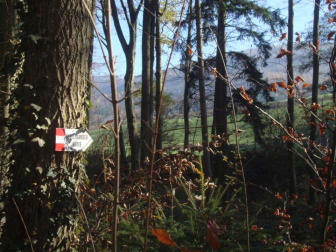 Foto: Wolfgang Dröthandl / Wandertour / Ochsenburger Hütte (Rudolfshöhe) / rechts im Hintergrund Rudolfshöhe / 17.11.2017 14:11:29