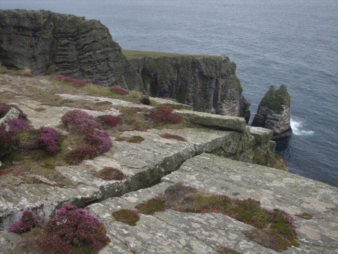 Foto: Wolfgang Dröthandl / Wandertour / Raad Ny Foillan: Von Cregneash zum Calf of Man / Erster Blick auf die Klüfte von The Chasms, rechts
'Sugarloaf' / 04.12.2017 15:40:58