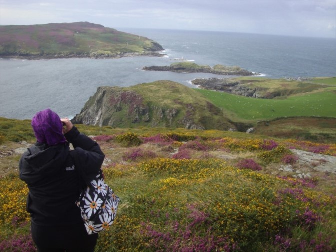 Foto: Wolfgang Dröthandl / Wandertour / Raad Ny Foillan: Von Cregneash zum Calf of Man / Calf of Man, Kitterland, The Sound vom Klippenweg / 04.12.2017 15:28:34