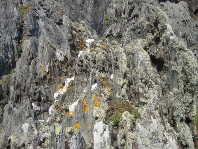 Foto: Wolfgang Dröthandl / Wandertour / Raad Ny Foillan: Von Cregneash zum Calf of Man / 04.12.2017 15:23:45