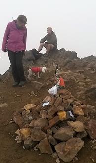 Foto: Wolfgang Lauschensky / Wandertour / Rucu Pichincha 4698m SO-Grat / Gipfel des Rucu Pichincha / 16.12.2017 16:22:26