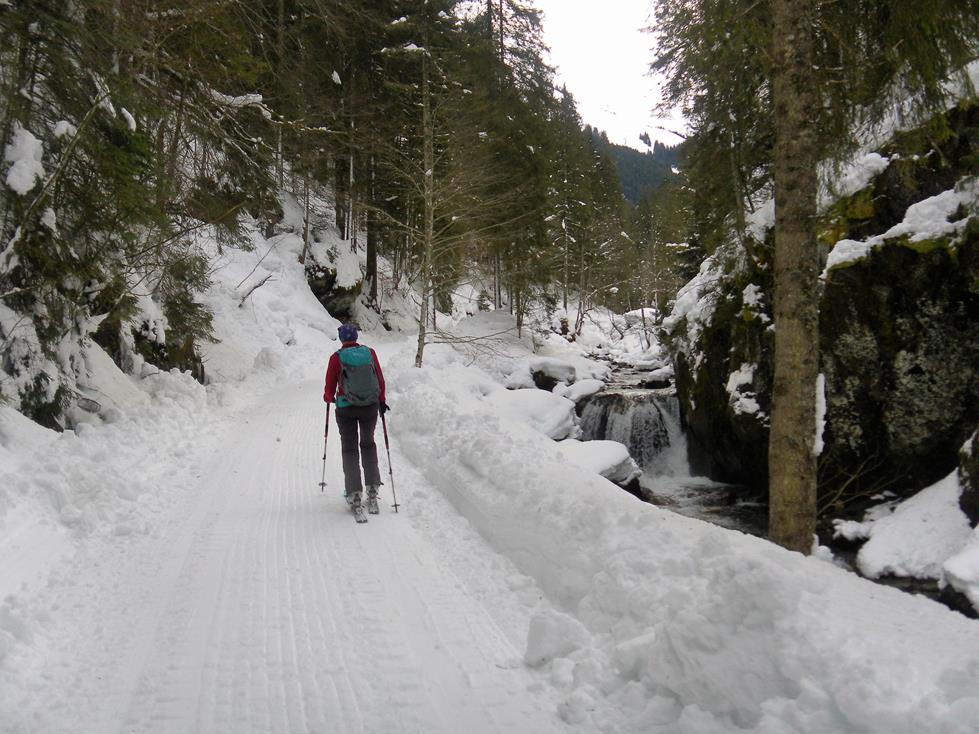 Foto: Wolfgang Lauschensky / Skitour / Gamskogel 2206m aus dem Windautal / oberes Windautal / 28.01.2018 01:39:23