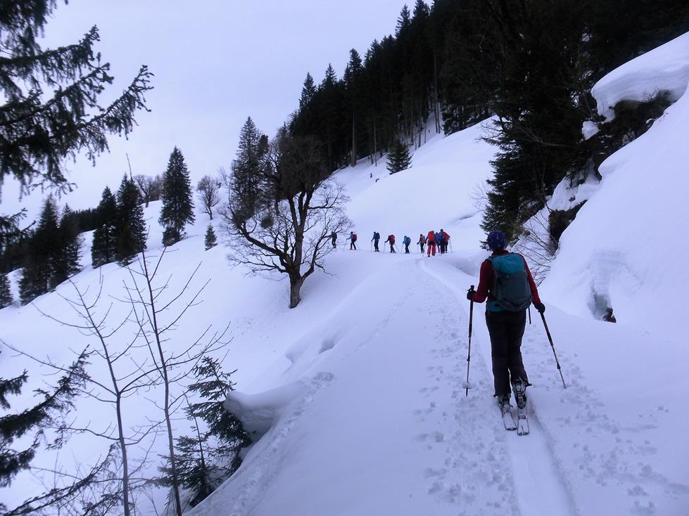 Foto: Wolfgang Lauschensky / Skitour / Gamskogel 2206m aus dem Windautal / Almweg zur Oberfoischingalm / 28.01.2018 01:39:11