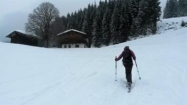 Foto: Wolfgang Lauschensky / Skitour / Gassnerkogel 1915m / Almwiesen / 23.02.2018 17:19:39