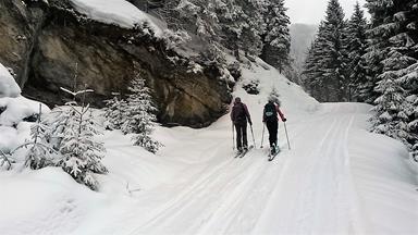 Foto: Wolfgang Lauschensky / Skitour / Gassnerkogel 1915m / kurze Güterwege / 23.02.2018 17:19:28