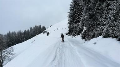 Foto: Wolfgang Lauschensky / Skitour / Gassnerkogel 1915m / Querung zu den Scheibenschlagalmen / 23.02.2018 17:19:25