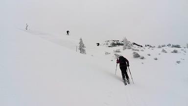 Foto: Wolfgang Lauschensky / Skitour / Gassnerkogel 1915m / Gipfelsüdflanke / 23.02.2018 17:18:49