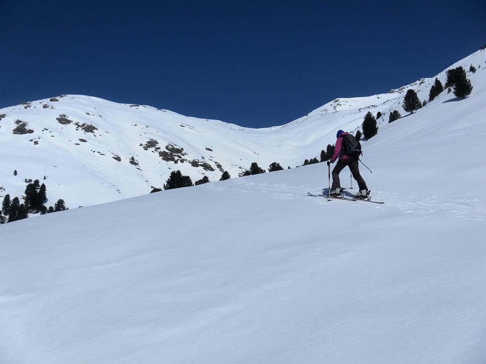 Foto: Wolfgang Lauschensky / Skitour / Mot dal Hom 2758m / Almhänge mit schütterem Zirbenbestand / 06.03.2018 15:15:37