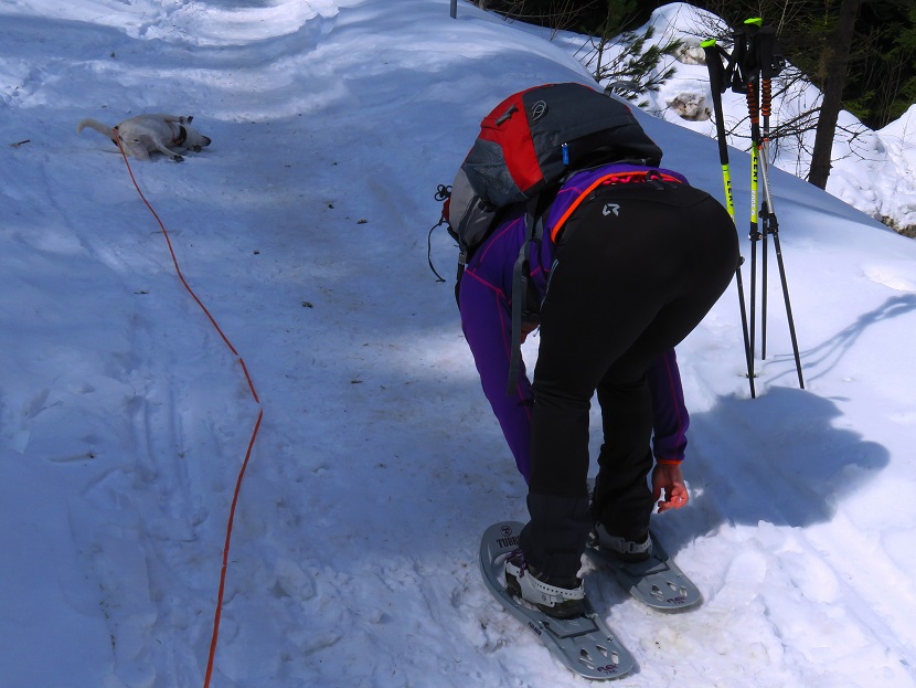 Foto: Andreas Koller / Schneeschuhtour / Panoramaschneeschuhtour Karköfel (2115m) / 06.05.2018 20:54:05
