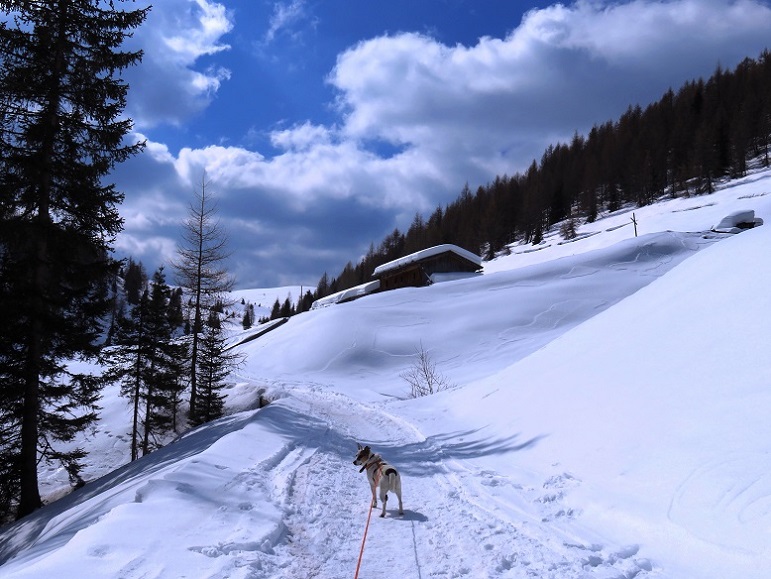 Foto: Andreas Koller / Schneeschuhtour / Panoramaschneeschuhtour Karköfel (2115m) / 06.05.2018 20:53:29