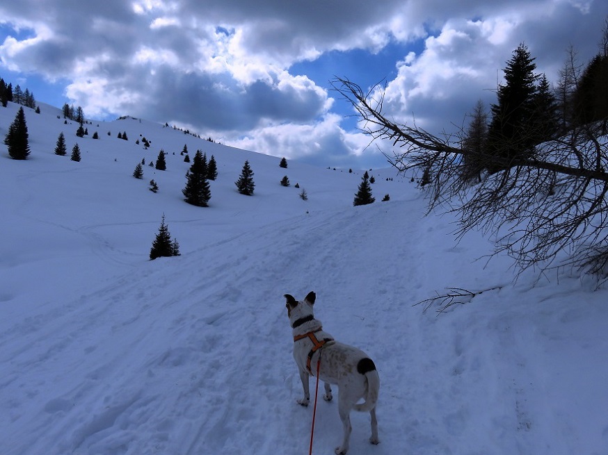 Foto: Andreas Koller / Schneeschuhtour / Panoramaschneeschuhtour Karköfel (2115m) / 06.05.2018 20:53:13