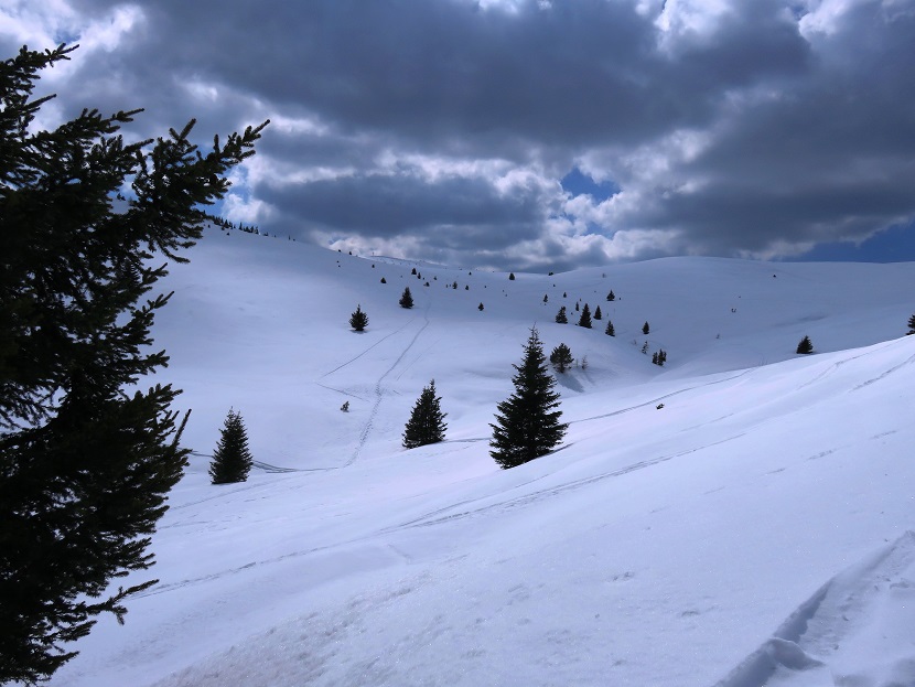 Foto: Andreas Koller / Schneeschuhtour / Panoramaschneeschuhtour Karköfel (2115m) / 06.05.2018 20:53:06
