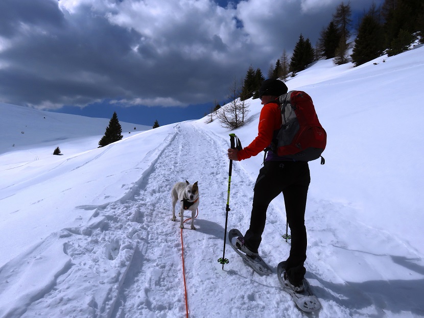 Foto: Andreas Koller / Schneeschuhtour / Panoramaschneeschuhtour Karköfel (2115m) / 06.05.2018 20:52:58