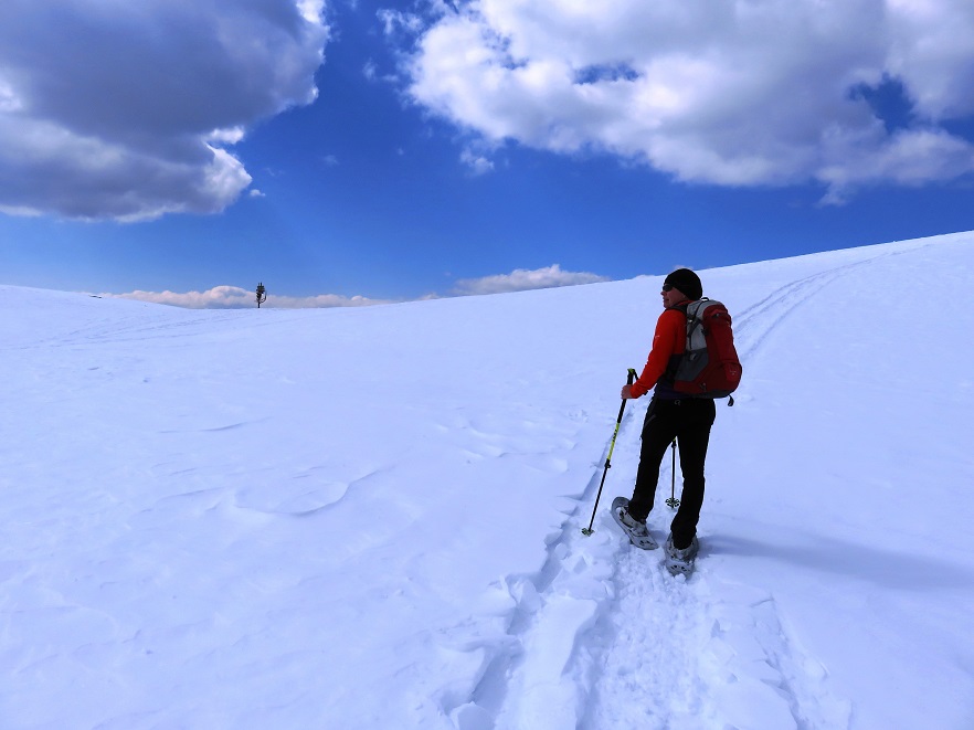Foto: Andreas Koller / Schneeschuhtour / Panoramaschneeschuhtour Karköfel (2115m) / 06.05.2018 20:52:50